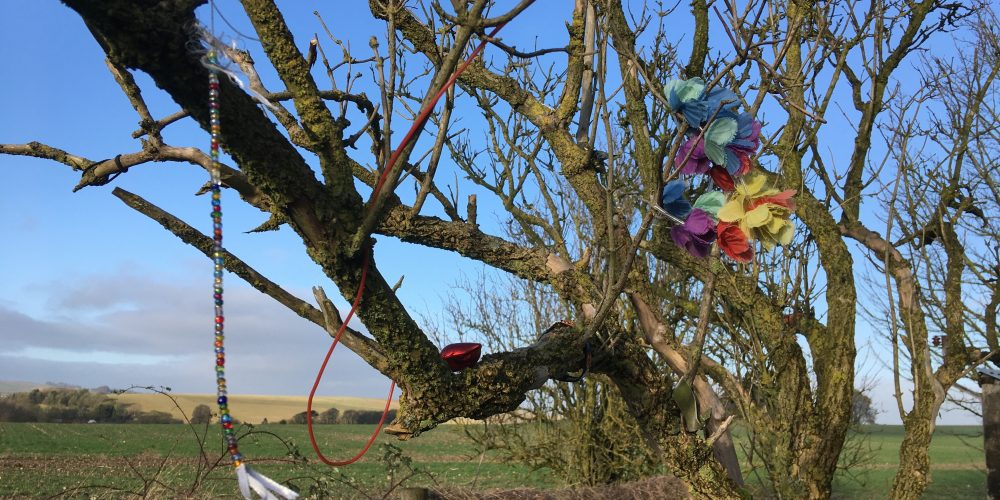 Ribbons tied to Elder tree on Ridgeway
